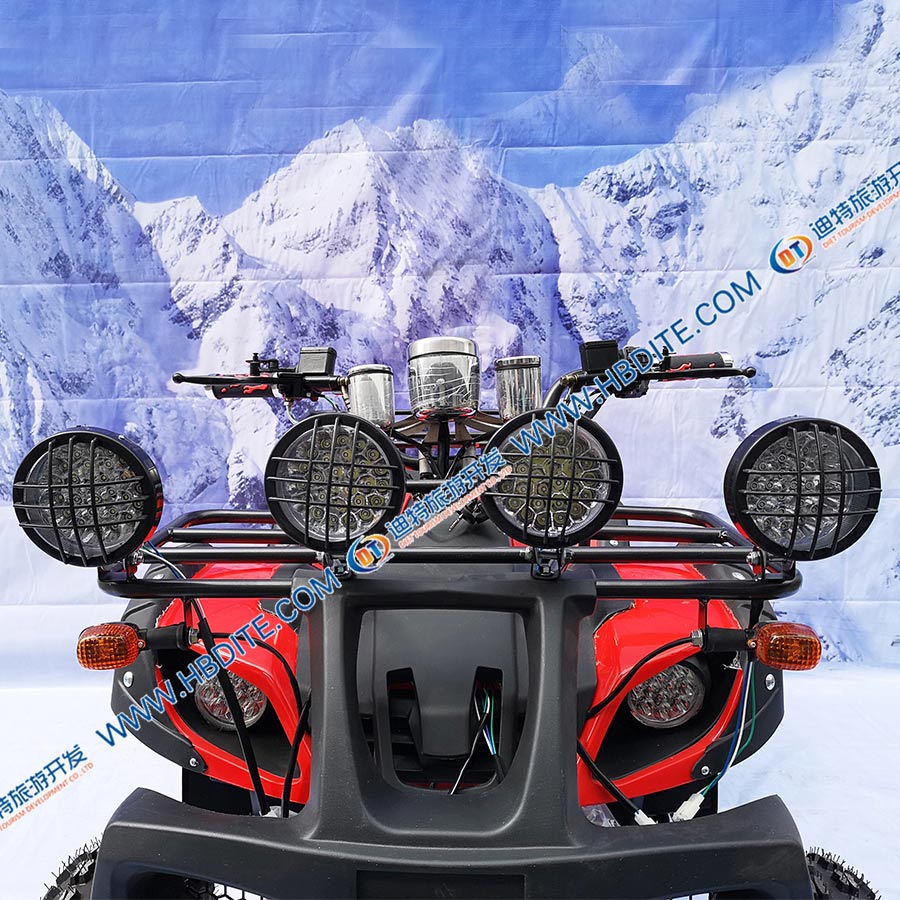 大公牛.jpg 大公牛.jpg